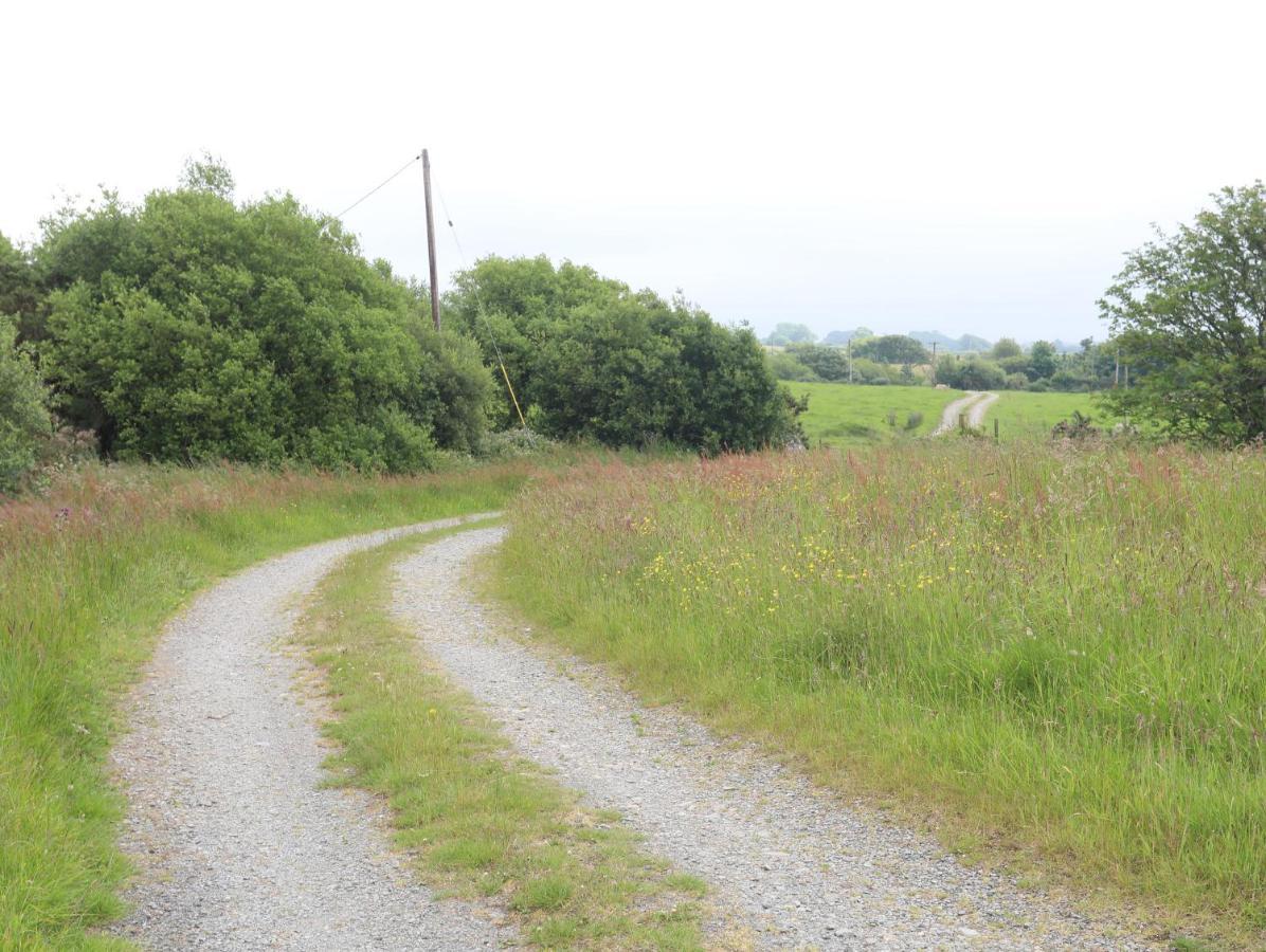 Tan Y Bryn Villa Pwllheli Exteriör bild
